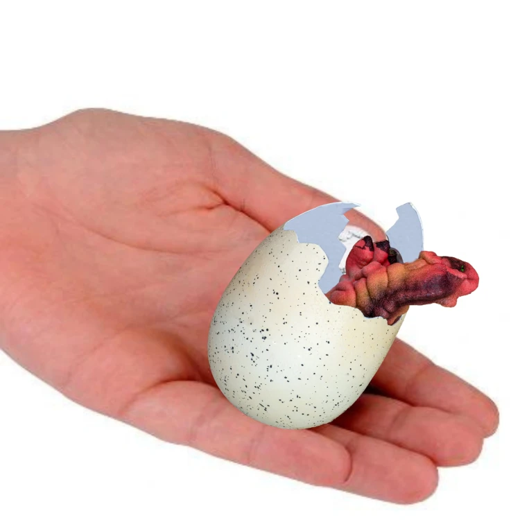DINOZAUR ROSNĄCY W JAJKU MAŁY