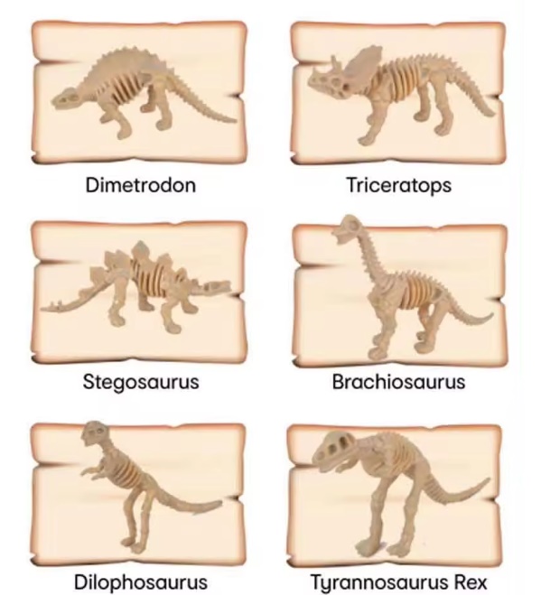 SKAMIELINA JAJO DINOZAURA 6 WZORÓW