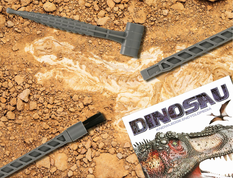 SKAMIELINA JAJO DINOZAURA 6 WZORÓW