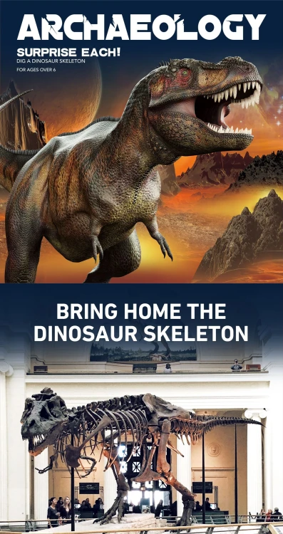 SKAMIELINA JAJO DINOZAURA 6 WZORÓW