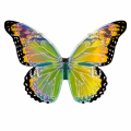 753299b862523a46821a14a0b078884b.png