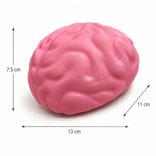 Gniotek MÓZG SQUISHY