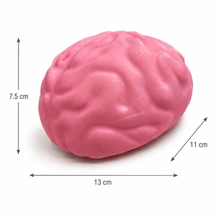 Gniotek MÓZG SQUISHY